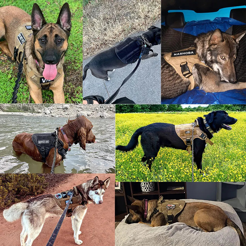 PETRAVELCN Vest Harness And Leash Set For Training